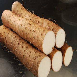Wild Yam Extract(sales06@nutra-max.com)